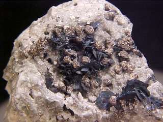 EXTRAORDINARY Colusite & Covellite Crystal Cluster BUTTE, MONTANA 