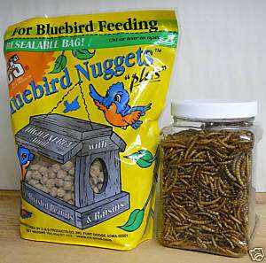 Bluebird Food C&S Bluebird Nuggets  Dried Mealworms  