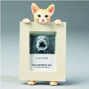  Orange Tabby Cat Picture Frame: Home & Kitchen