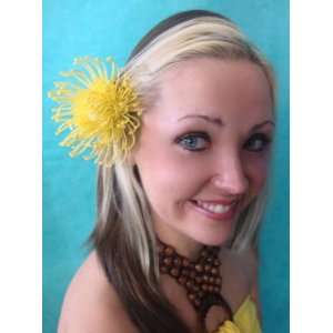  Tropical Yellow Protea Flower Hair Clip 