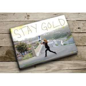 Emerica Stay Gold Deluxe DVD 