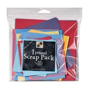    DCWV Cardstock Scrap Pack Assortment 1 Pound Arts, Crafts & Sewing