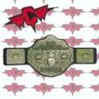 WWE ECW Tag Team Championship Kids Size Replica Wrestling Belt