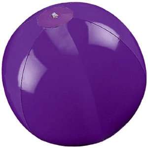  Purple Inflatable Beach Ball (1 dz): Toys & Games