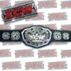   ECW 3D 2008 Heavyweight Championship Kids Size Replica Wrestling Belt