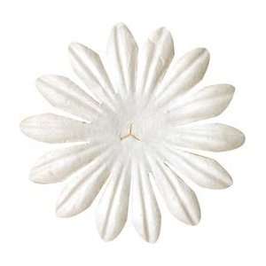  Flowers   White Daisy 2 10/Pkg White Daisy 2 10/Pkg: Home & Kitchen