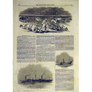   1844 American Prairie Fire Orwell Sylph Steamer Wreck