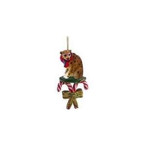  Leopard Candy Cane Christmas Ornament: Home & Kitchen