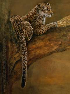 Danielle Beck Panthera du Serengeti Leopard Fertig Bild 70x100 