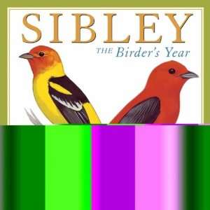     The Birders Year 2012 Wall Calendar 12 X 12