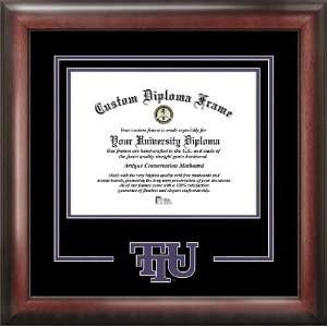   Tennessee Tech Golden Eagles Spirit Diploma Frame: Sports & Outdoors