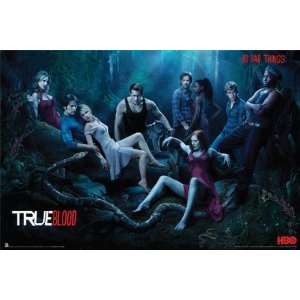 True Blood Poster Season 3   Poster Großformat (91,5cm x 61cm 