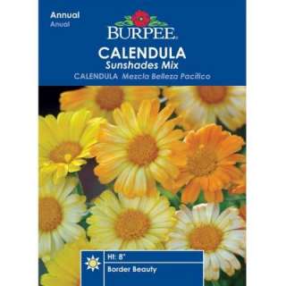 Burpee Calendula Sunshades Mix Seed (39419) from  