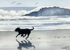 BLACK LAB Beach Painting Dog Art ACEO Print Signed DJR  
