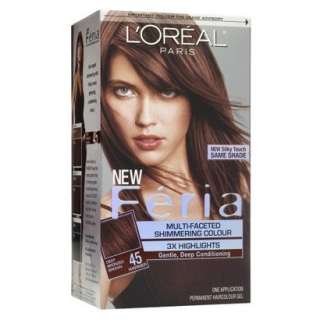 LOreal Feria Hair Color   45 French Roast (Deep Bronzed Brown)   1 