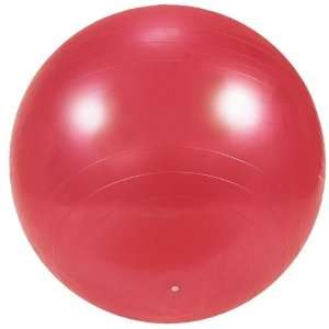  Exercise and Gym 55cm Ball (Includes Dvd) Sports 