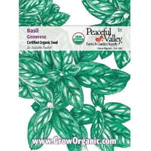  Organic Basil Seed Pack, Genovese: Patio, Lawn & Garden