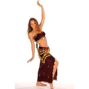 Belly Dance Costume Set  Velvet Slitted Skirt Hip Scarf & Bra