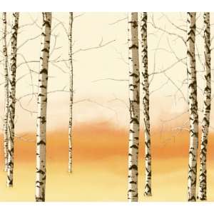  Birch Trees. Cream / Orange. Eco Value Murals. 96 X 108 