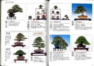 Kindai Bonsai Kinbon #376 Japanese Magazine Book  