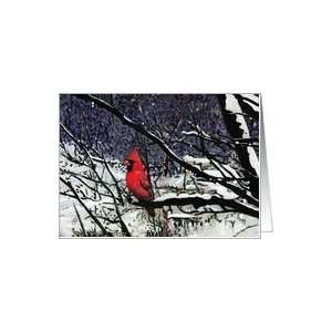  Red Cardinal Songbird Winter Painting Card Health 