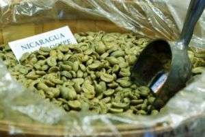 100% KONA Green Coffee Beans, 1 lb Bag  