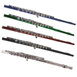   NEW Silver,Red,Green,Blue,Black Flute+Case 813794017808  