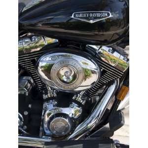  Harley Davidson Motorcycle, Key West, Florida, USA 