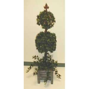  48 Double Ball Ivy Topiary
