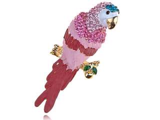  Crystal Rhinestone Painted Tropical Parrot Bird Design Pin Brooch