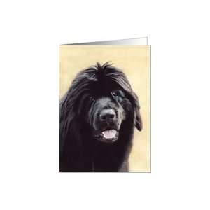  Newfoundland Dog Breed Painting Card Health & Personal 