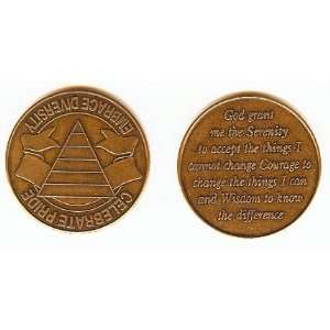 EMBRACE DIVERSITY OLD SPECIALTY GROUP ALCOHOLICS ANONYMOUS TOKEN COIN 