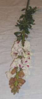 White Orchid Dianthus Silk Flowers Long Stem E631  