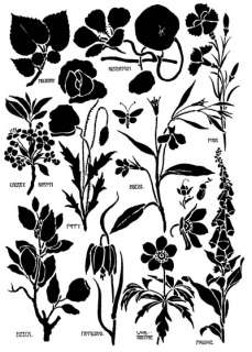 Use of plant forms in stencil designs